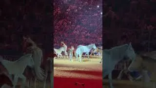 Thumbnail: Houston Rodeo 2026 - Future Generation Horses (March 11th 2026)