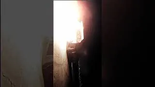 Thumbnail: Flame Spitting Beast 🔥 | Wig Split Phonk Edit #shorts #gtr