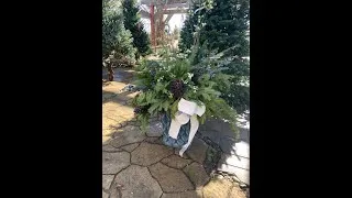 Thumbnail: Holiday Porch Pot How-To