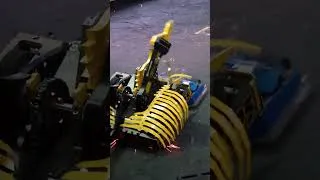 Thumbnail: These two bots are UNDEFEATED!