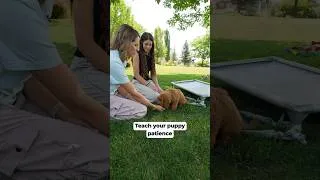 Thumbnail: Teach patience