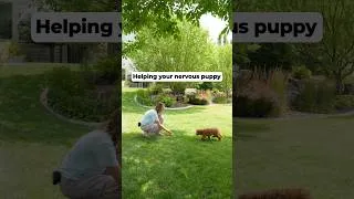 Thumbnail: Dog gets nervous