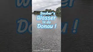 Thumbnail: Sauber's Wasser in da Donau! Früher braun und stinkend! Bayrisch Podcast! Natur Bayern!