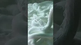 Thumbnail: Foam Generator  #foam #concreteblocks #foammachine  #construction #interiordesign