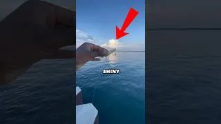Thumbnail: I hooked the pier MONSTER🎣