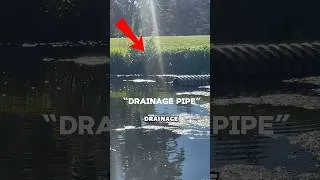 Thumbnail: Fishing for Sewage Fish🤢🎣