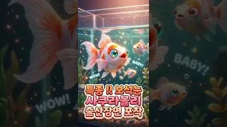 Thumbnail: 경이로운 순간! 보석눈 사쿠라몰리의 진짜 출산장면 포착💎🐟 Miracle Moment! Jewel-Eyed Sakura Molly Giving Birth  #aquarium