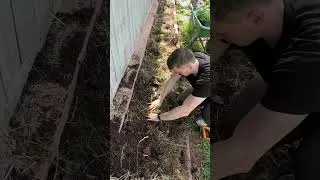 Thumbnail: Planting Tomatoes