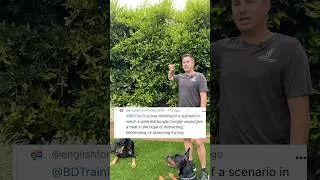 Thumbnail: Someone Could Poison Your Dog Over Your Fence - Here’s My Fix