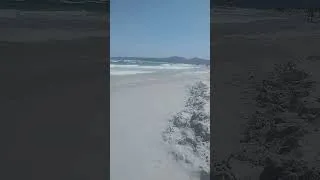 Thumbnail: 11 Luglio 2026, San Teodoro, La Cinta