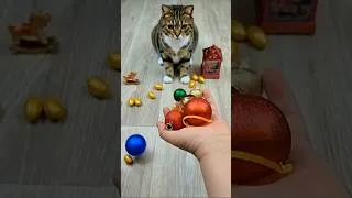 Thumbnail: Cat Barsik 💛 Balls 🎄🌈 Reverse video #reverse #cat #beadscattv #shorts