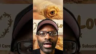 Thumbnail: Bearded Dragons And 5 Wild Facts 2