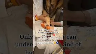 Thumbnail: Taishu The German shepherd Rakhi Celebration 2026😍Dog Lover Understand This Feeling #gsd #rakhi