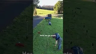 Thumbnail: These Trees Used to Be Trash