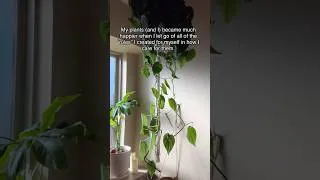 Thumbnail: Let go of houseplant rules that no longer serve you 🌿 #houseplantcaretips
