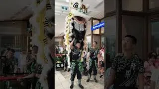 Thumbnail: Amazing Shopping Centre Lion Dance Parade for Lunar New Year 2026 - With LOUD Drums!