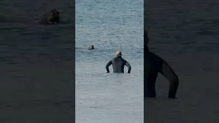 Thumbnail: Surfer gets vibed out! 😮 #beach #local