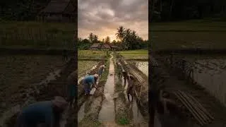 Thumbnail: #shortvideo #shortsfeed #shorts #villagelife #village #beforeafter #trending #ai #viral #viralshorts