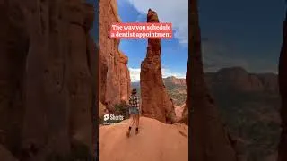 Thumbnail: do you spot the llamas?