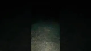 Thumbnail: Calling in the ocean critters!