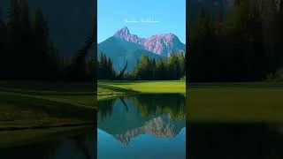 Thumbnail: 자연을 사랑하는 이유 Why we love nature