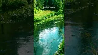 Thumbnail: [ASMR] 마음이 편안해지는 시냇물 소리 The soothing sound of a stream