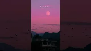 Thumbnail: 고된 하루의 끝, 노을에게 위로받기 Music for a long day