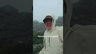 Thumbnail: Mount to Coast M1 In The Wild