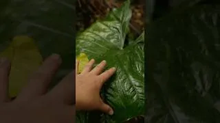 Thumbnail: Riding in the rain