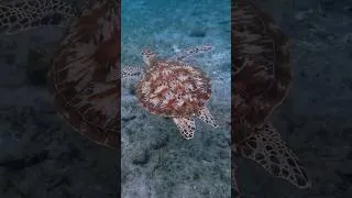 Thumbnail: Camping in the Philippines