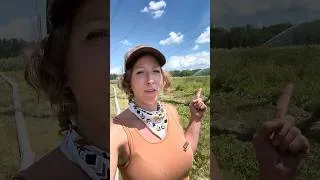 Thumbnail: Farm Jobs 7/10/26