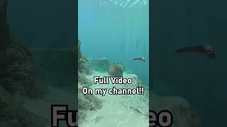 Thumbnail: Why Is The World of Subnautica a Miracle