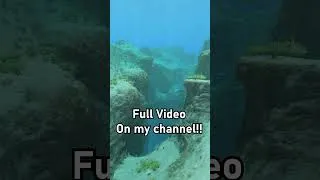 Thumbnail: Subnautica Is Built on a...