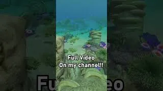 Thumbnail: The Base of Subnautica's Food Chains