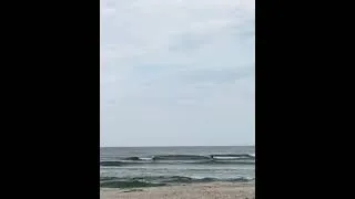 Thumbnail: Floating on a long board #surfers #waves #longboard ing oard