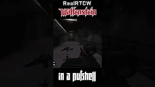 Thumbnail: RealRTCW in a Nutshell