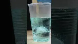 Thumbnail: Can you cast ice in epoxy resin? #experiment #resincast