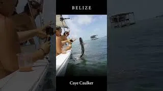 Thumbnail: Caye Caulker Belize #belize #travel