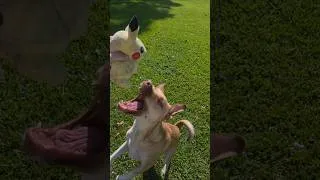 Thumbnail: I choose you