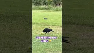 Thumbnail: #golf #birds #bird #golfer #golfing