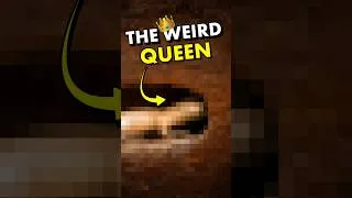 Thumbnail: Is this mammal actually an insect?