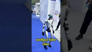 Thumbnail: Intelligent Robot In China