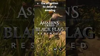 Thumbnail: The attention to detail is incredible in AC BLACK FLAG RESYNCED
