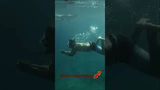 Thumbnail: Top Things To Do: Snorkeling at Kealakekua Bay, Hawaii | Explore Marine Life & Crystal Clear Waters