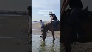 Thumbnail: im going to start posting more now #horse #horse #equestrianjourney #equestrian