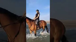 Thumbnail: our first ever beach ride!!! #equestrianjourney #horse #equestrian