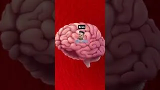 Thumbnail: Unhealthy Weight loss = Gallbladder stone  பித்தப்பை