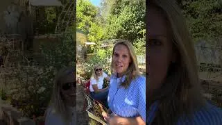 Thumbnail: Pruning tomatoes is this for real - using 1967 techniques