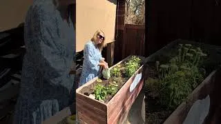 Thumbnail: Greenacres new fertilizer