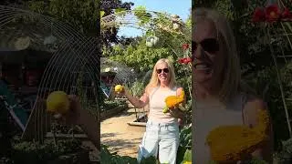 Thumbnail: Northern California gardening